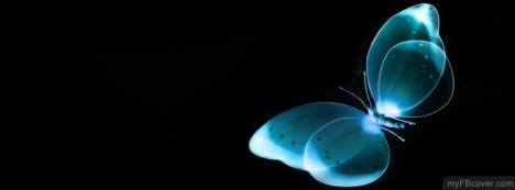 Blue Butterfly Facebook Cover