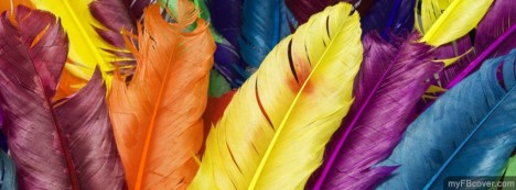 Colorful Feathers Facebook Cover