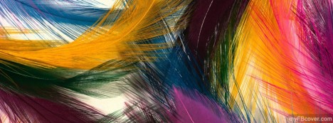 Colourful Feathers Facebook Cover