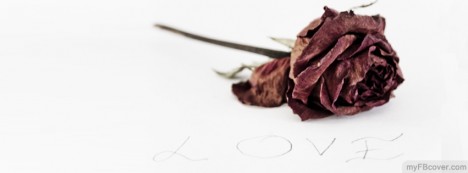 Dead Rose Facebook Cover