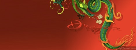 Dragon Facebook Cover