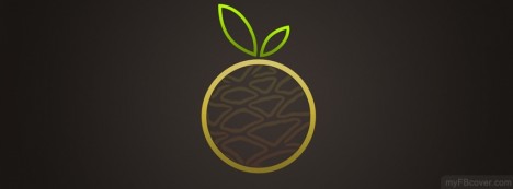 Orange Fruit Facebook Cover