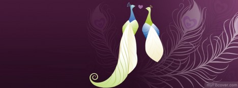 Peacock Feather Facebook Cover