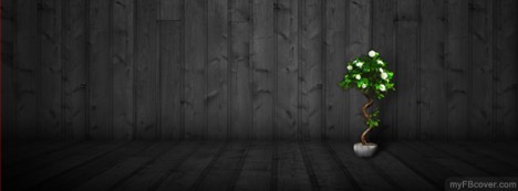 Plant Abstract Facebook Cover