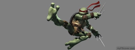 Ninja Turtle Facebook Cover