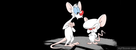Pinky and the Brain Facebook Cover