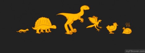 Evolution of Chicken Facebook Cover