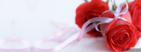 Rose Flowers Facebook Cover