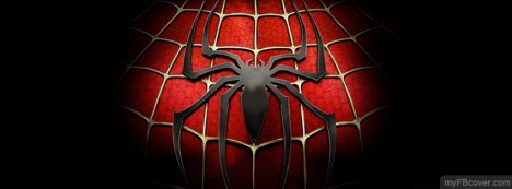 Spiderman Facebook Cover