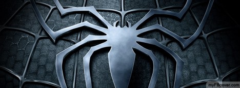 Spiderman Facebook Cover