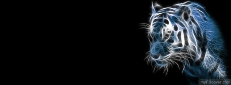 3D Tiger Facebook Cover