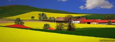 Blooming Fields Facebook Cover