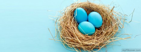 Blue Eggs Facebook Cover
