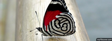 Butterfly Facebook Cover