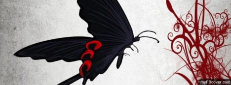 Butterfly Facebook Cover