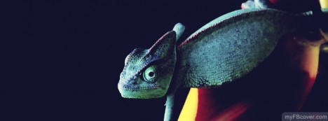 Chameleon Facebook Cover