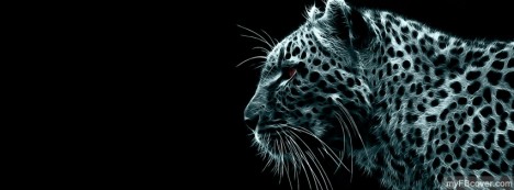 Cheetah Facebook Cover