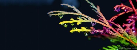 Colorful Drops Facebook Cover