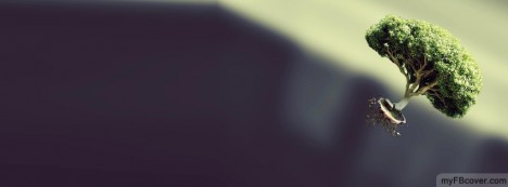 Flying Tree Facebook Cover