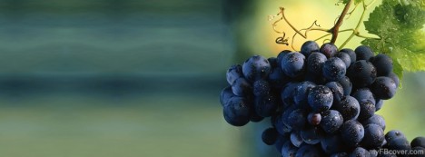 Grapes Facebook Cover