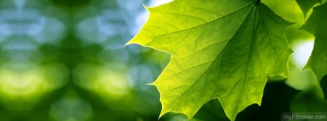 Green Leaf Facebook Cover