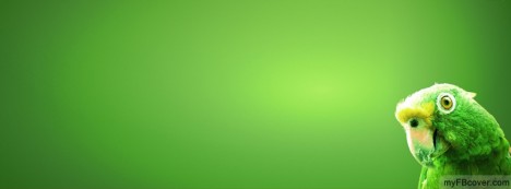 Green Parrot Facebook Cover