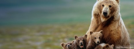 Grizzly Mom Facebook Cover