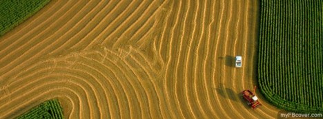 Harvest Facebook Cover
