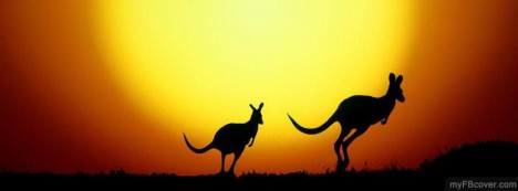 Kangaroo Silhoutte Facebook Cover