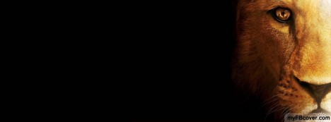 Lion Face Facebook Cover