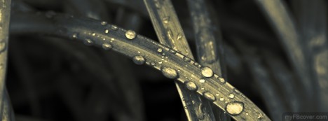 Minimal Water Drop Facebook Cover