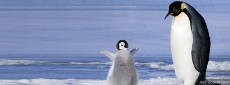 Papa Penguin Facebook Cover