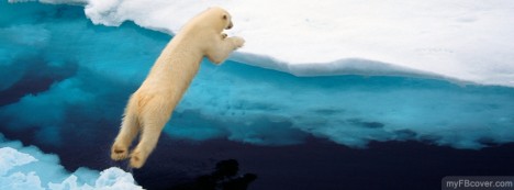 Polar Bear Diving Facebook Cover