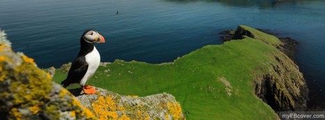 Puffing Facebook Cover