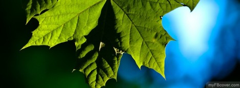 Reach for Last Rays Facebook Cover