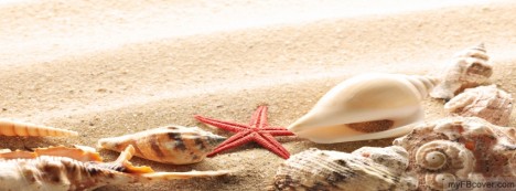 Shell Facebook Cover