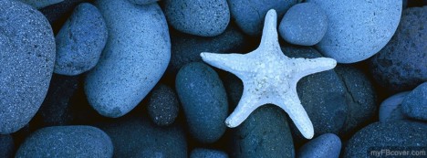Starfish Facebook Cover
