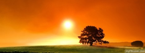 Sunny Day Facebook Cover