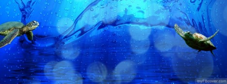 Turtle Facebook Cover