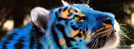 White Tiger Facebook Cover