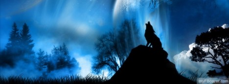 Wolf Facebook Cover