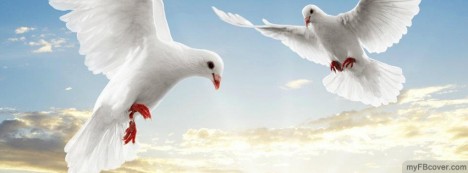 Dove Facebook Cover