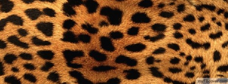 Leopard Skin Facebook Cover