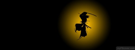 Samurai Jake Facebook Cover