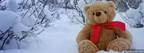 Teddy Bear Facebook Cover