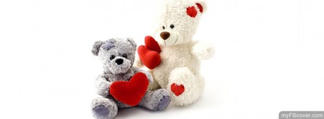 Teddy Bear Facebook Cover