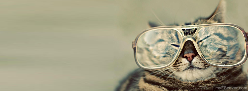 Cat With Goggles Facebook Cover 