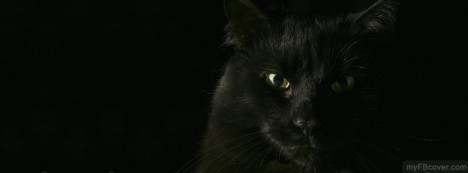 Black Cat Facebook Cover