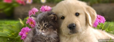 Cute Puppy and Kitten Facebook Cover