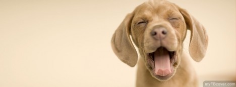 Happy Dog Facebook Cover